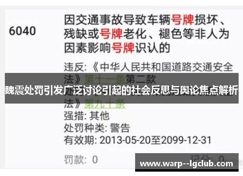 魏震处罚引发广泛讨论引起的社会反思与舆论焦点解析